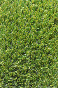 Lavish - Premium Synthetic Grass