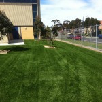 Cairnlea Park Primary School