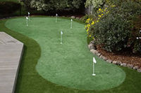 Synthetic Grass Backyard Putting Greens