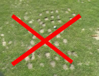 Golf - Tee Off Areas_No More Divots_480